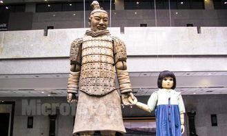 兵马俑怎么形成的视频,千年守护者的神秘形成历程